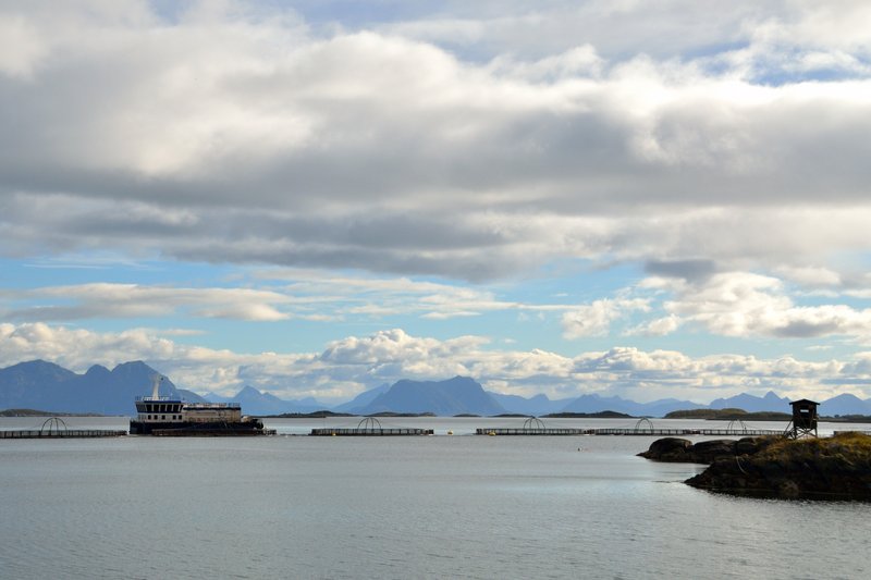 羅浮敦島 Lofoten<br>行到水窮處，坐看雲起時。<br/>