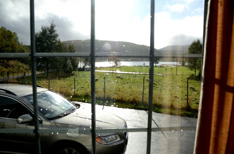 Fidjeland<br>氣象報告說今天要下豪雨，結果是飄著雨絲裡，陽光還從雲隙間，跑出來打招呼。<br/>