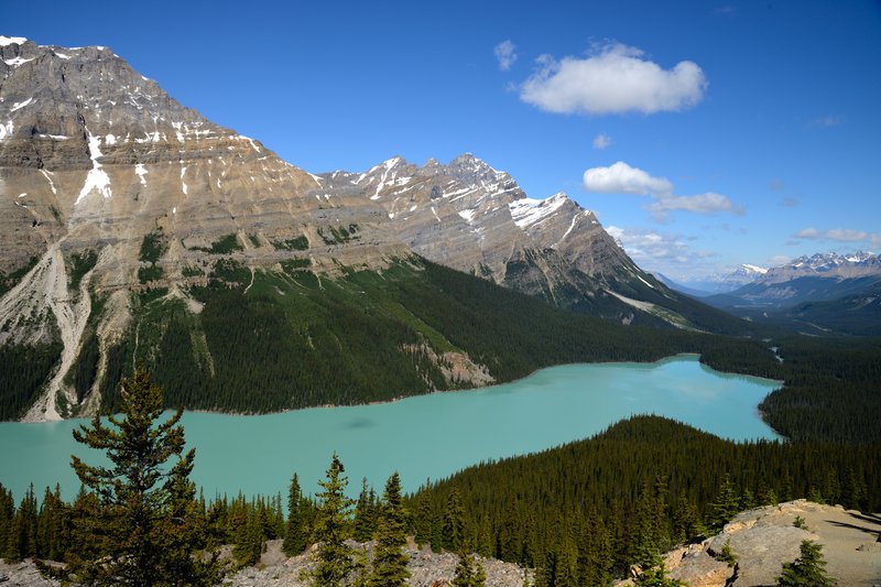 Peyto Lake狗狗湖<br>Peyto Lake，這個素有狗狗湖之稱的冰河湖，冰原融化時夾帶著粉藍色的石粉流入湖水中，加上陽光照射後，整個湖水有如tiffany般的沁藍，非常美麗！<br/>