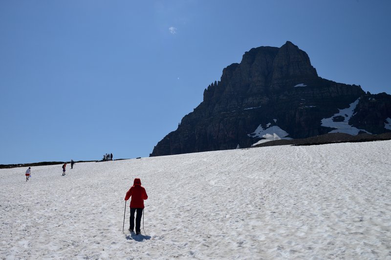Logan Pass<br>Hidden Lake Trail健行路線，七月中整段步道還有一半以上被冰雪覆蓋著。<br/>