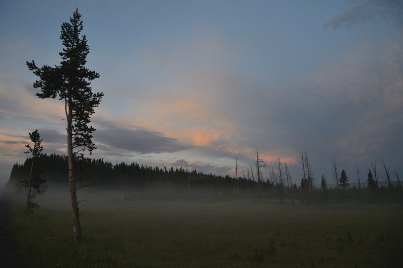 黃石公園峽谷區<br>天快亮了，急忙要去Artist Point拍照，不過路旁的景色更吸引我，停下車來撿到這張迷人的照片。<br/>