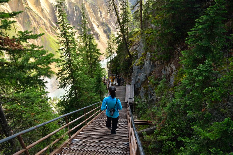 黃石公園峽谷區<br>順著鐵梯陡下，要去看黃石瀑布觀景點。<br/>