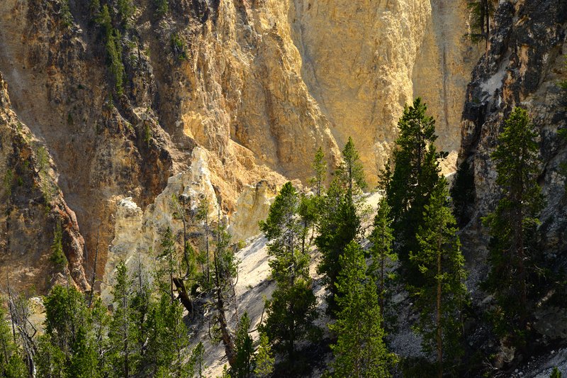 黃石公園峽谷區<br>河水切割火山岩而形成黃石大峽谷，岩壁呈現黃、橙、棕、褐等多種色彩。<br/>