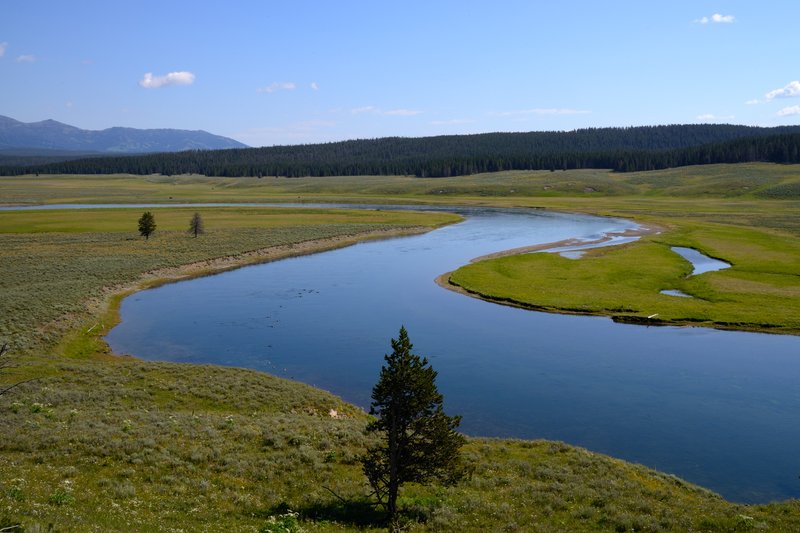 黃石公園峽谷區<br>準備要離開黃石峽谷區，好客的黃石河彎腰跟我道別。<br/>
