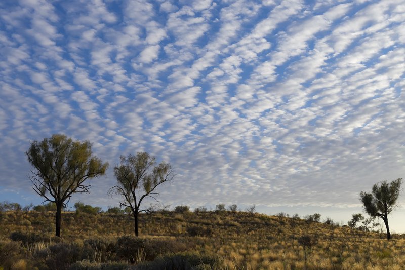 Uluru 烏魯魯<br>多雲的日子，今天要去健行。