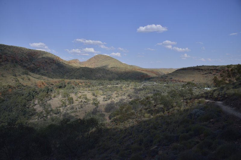 Ormiston Gorge 奧米斯頓峽谷