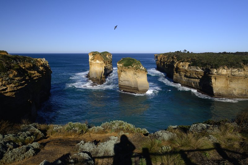 Twelve Apostles 12門徒岩<br>阿德湖峽谷Loch Ard Gorge的日出，陽光跟海鷗都很配合演出。