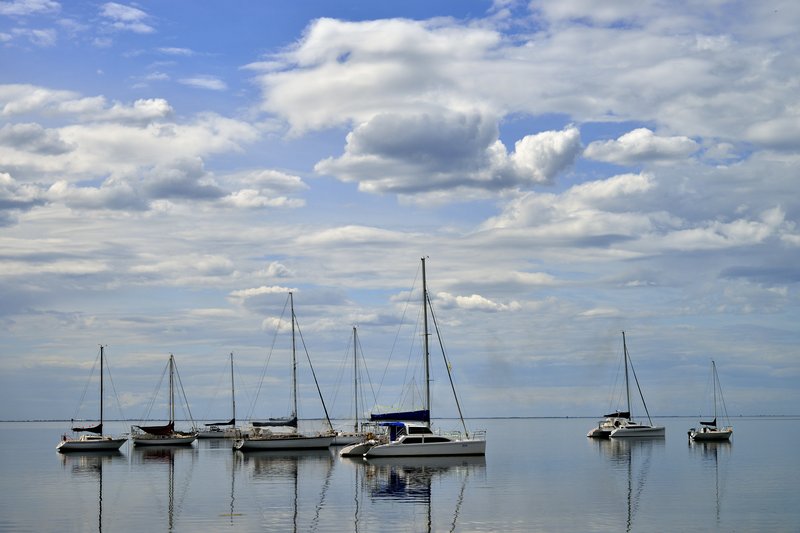 Geelong 吉隆<br>天氣很好的吉隆海邊，很像畫的風景照。