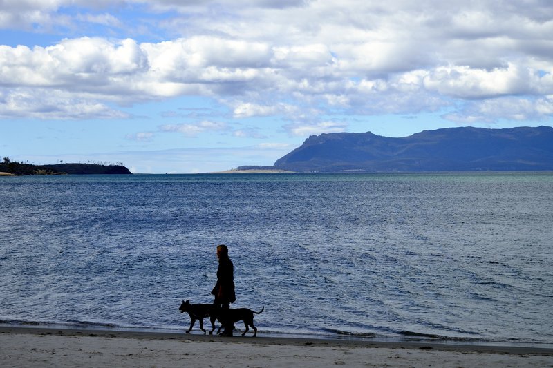 Freycinet National Park 菲欣納<br>春天的Freycinet National Park遊客不多，悠閒自在。