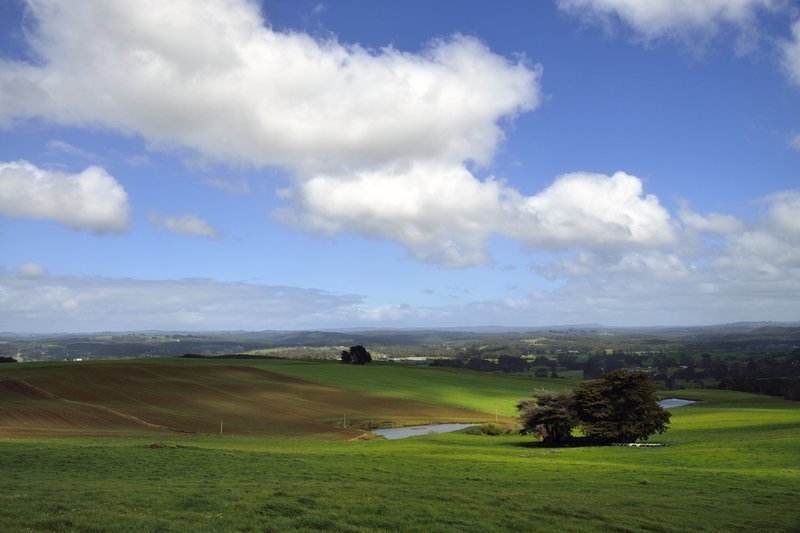 Wynyard 溫妮雅<br>這裡不是美英富良野，這裡是塔斯馬尼亞島，以種植鬱金香聞名的Wynyard。