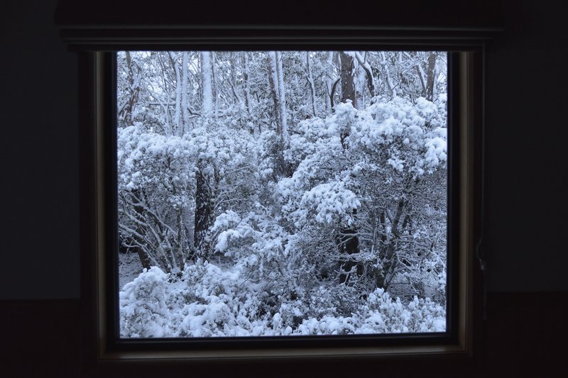 Cradle Mountain 搖籃山國家公園<br>清晨醒來，窗外竟是雪景一片，真像一幅畫。
