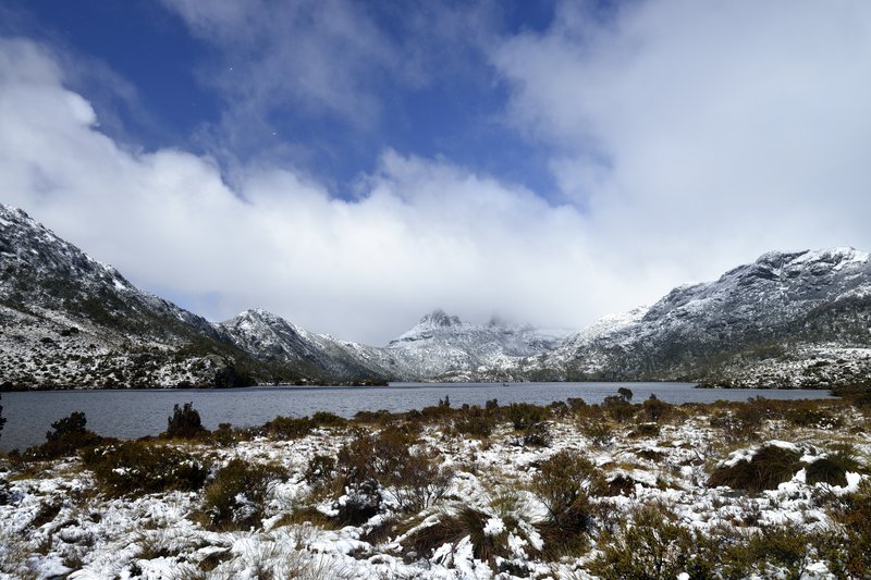Cradle Mountain 搖籃山國家公園<br>凌晨開始下的雪，還在陸陸續續的下著。