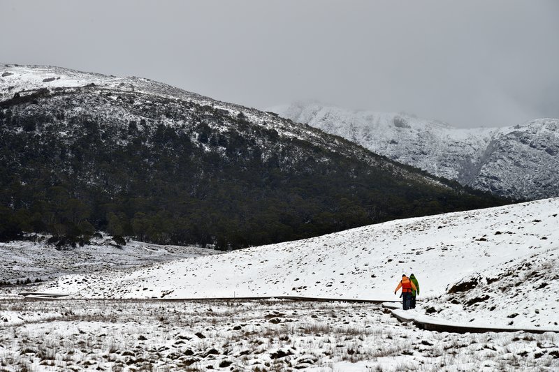 Cradle Mountain 搖籃山國家公園<br>下雪天，我們要去健行。