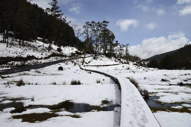 Cradle Mountain 搖籃山國家公園<br>下雪天，我們準備去健行。