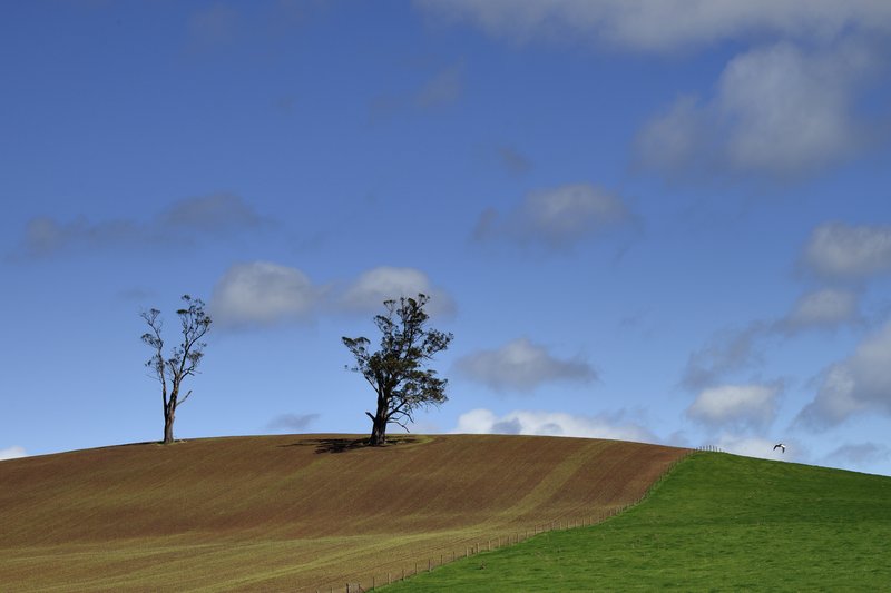 Bothwell<br>這一天從搖籃山國家公園，要回到赫巴特，因為要趕民宿下午三點check in，所以一路上在山路裡狂飆，不過路旁看到的美景還是不肯放過!