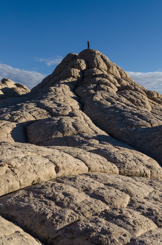 White Pocket 白口袋