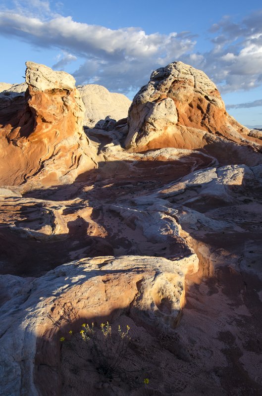 White Pocket 白口袋