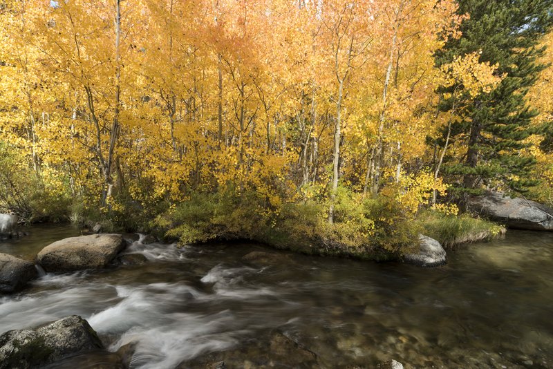 Lake Sabrina 塞布麗娜湖