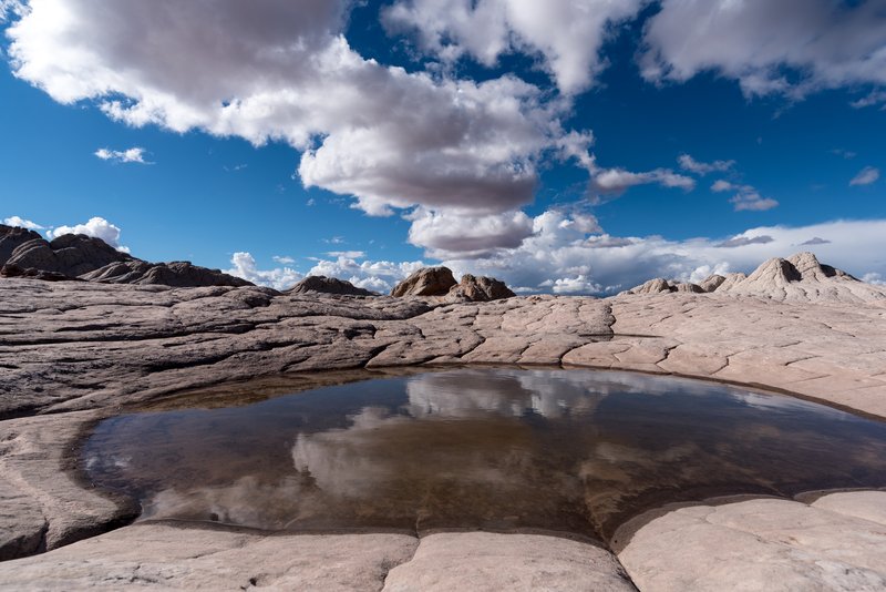 White Pocket 白口袋