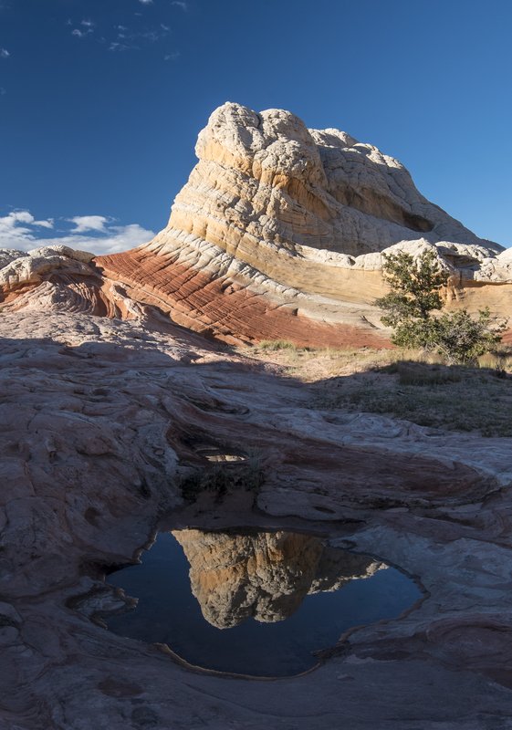 White Pocket 白口袋