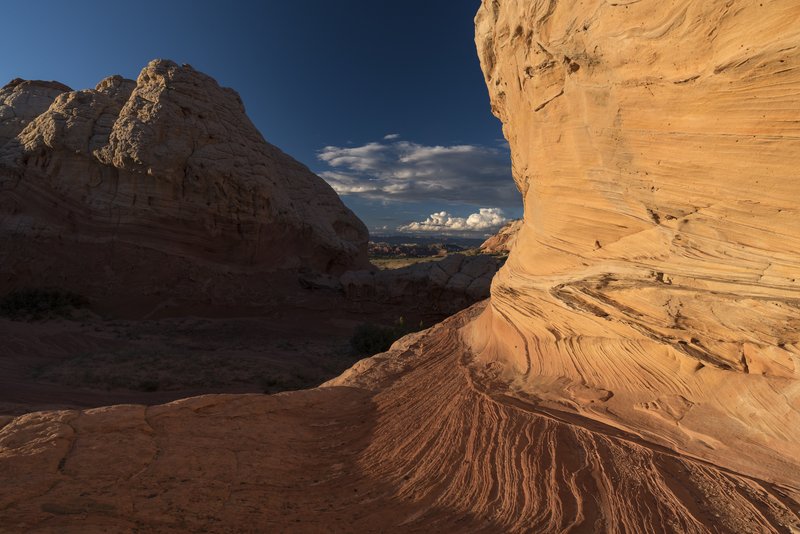 White Pocket 白口袋