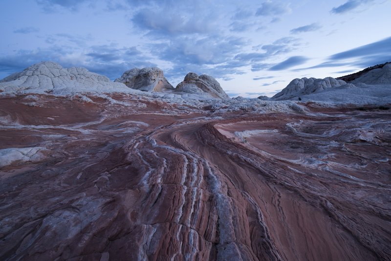 White Pocket 白口袋