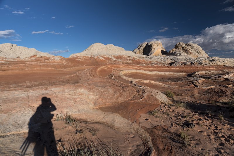 White Pocket 白口袋