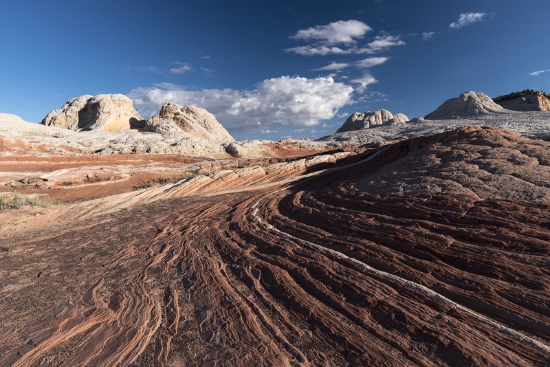 White Pocket 白口袋