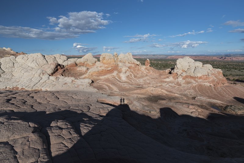 White Pocket 白口袋