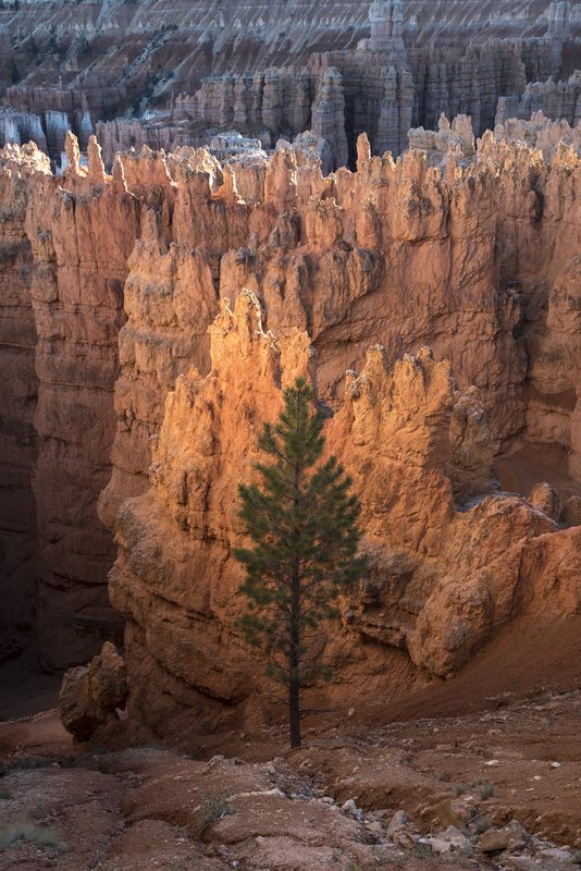 Bryce Canyon布萊斯峽谷