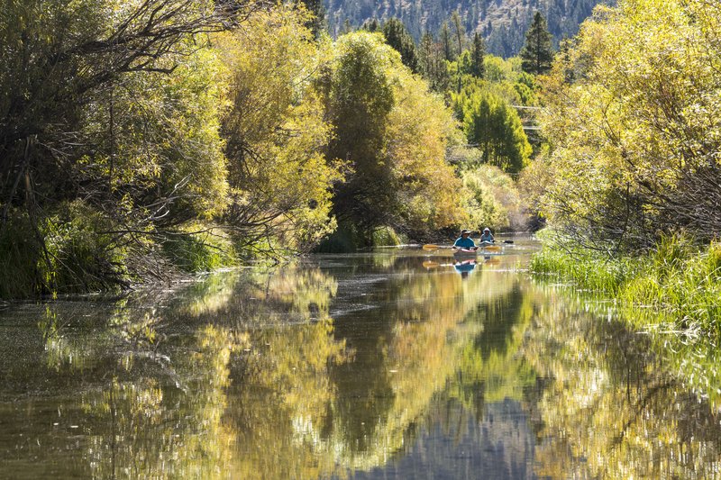 Silver Lake銀湖<br>在滿山遍野的黃葉湖邊悠閒的划著船，幸福的外國人。