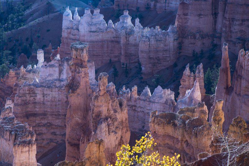 Bryce Canyon布萊斯峽谷