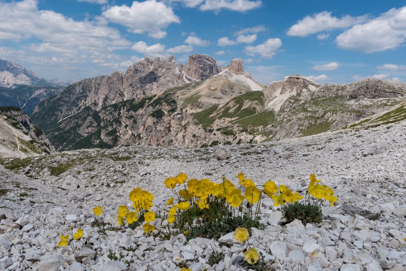 Tre Cime di Lavaredo