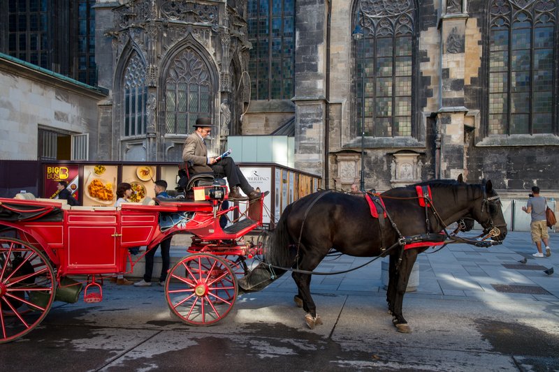 維也納<br>史蒂芬大教堂後門排班的馬車夫，很優閒的看著書籍，等待遊客上門。