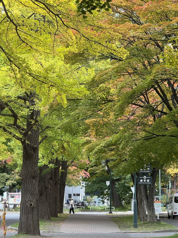 札幌<br>北海大大學