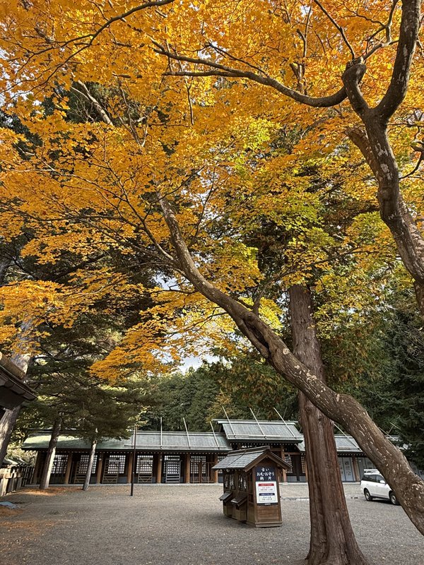 札幌<br>圓山公園